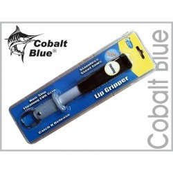 Cobalt Blue Floating Fish...