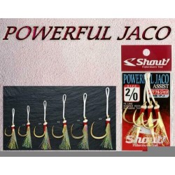 Shout 08-PJ POWER JACO HOOK...